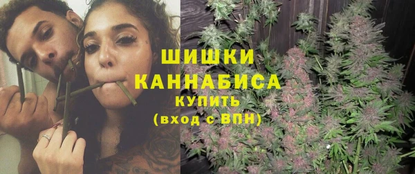 ECSTASY Богородицк